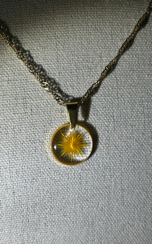 collier