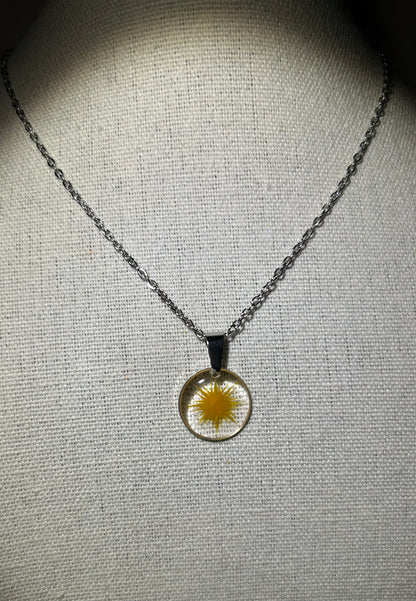collier